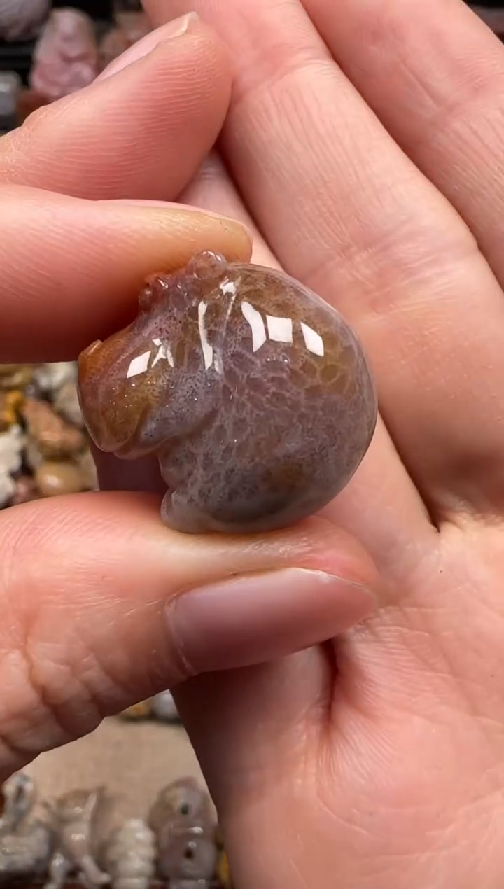 【闪购商品】硅化珊瑚（珊瑚玉）颈饰未镶嵌239