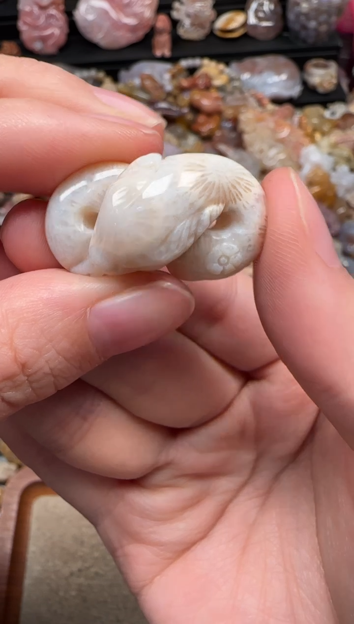 颈饰未镶嵌硅化珊瑚（珊瑚玉）904