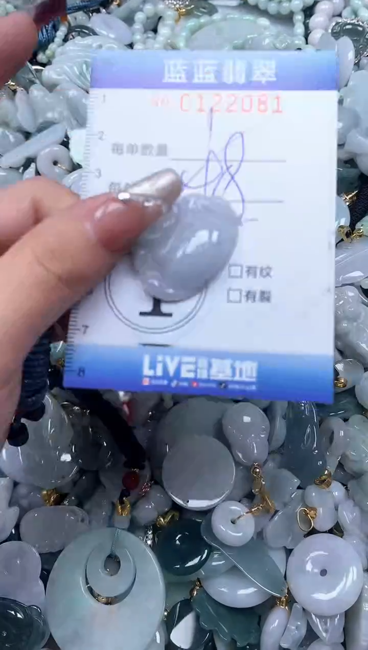 【闪购商品】翡翠颈饰未镶嵌闪购0122081多样性发其一