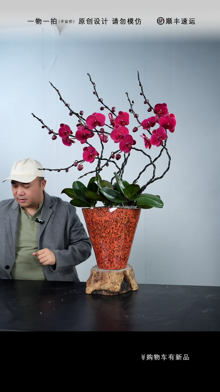 【闪购商品】045号链接【一物一拍】艺术盆景