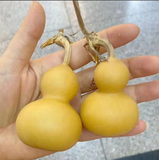 直播间宠粉福利天然手捻小葫芦