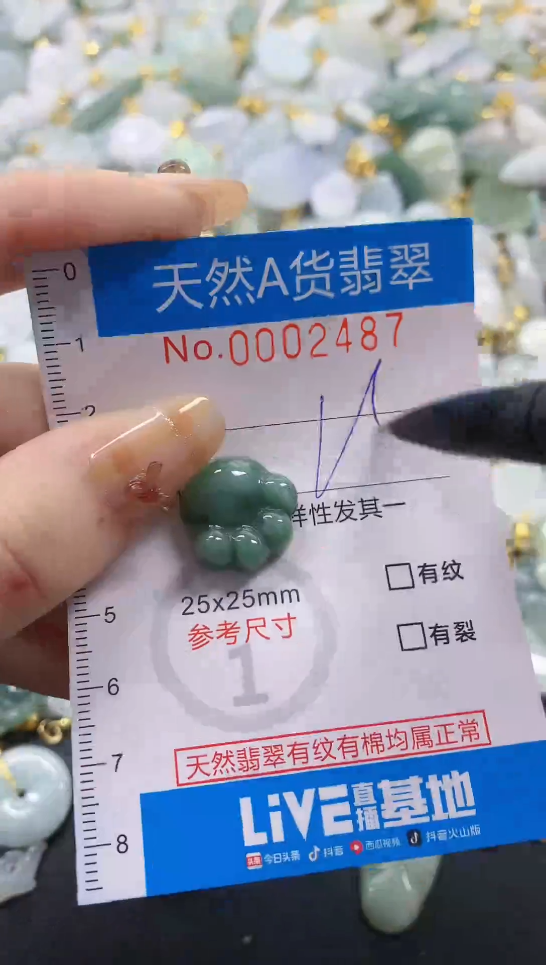 颈饰未镶嵌翡翠净货挂件-2487