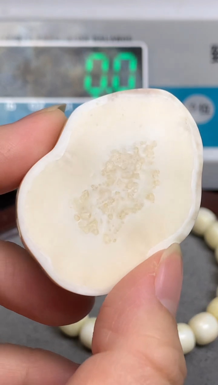 【闪购商品】橄榄核手串/手链猛犸猛犸猛犸猛犸R72