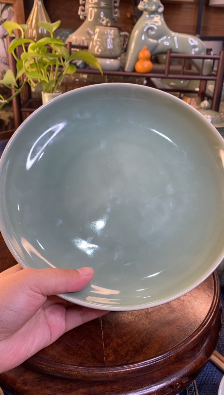 8.5英寸b000002素面盘1只特价微瑕