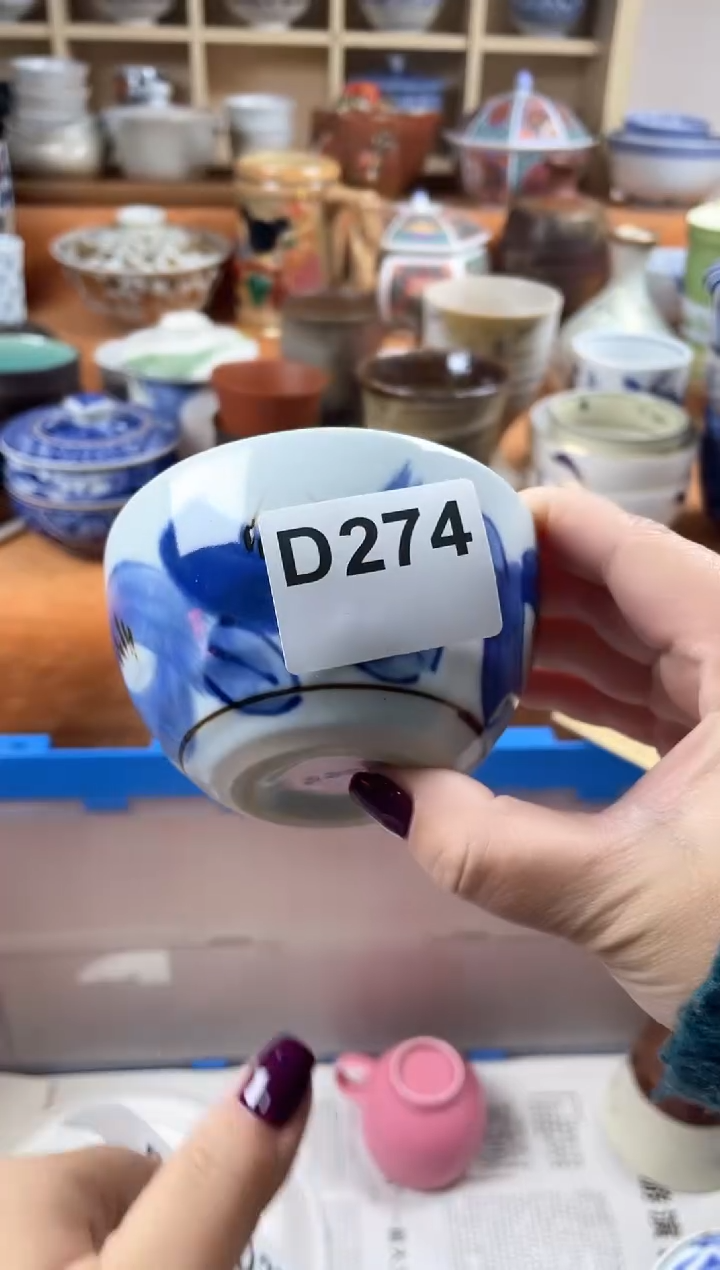 【闪购商品】D274             