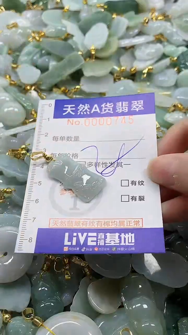 颈饰未镶嵌翡翠纯天然a货翡翠