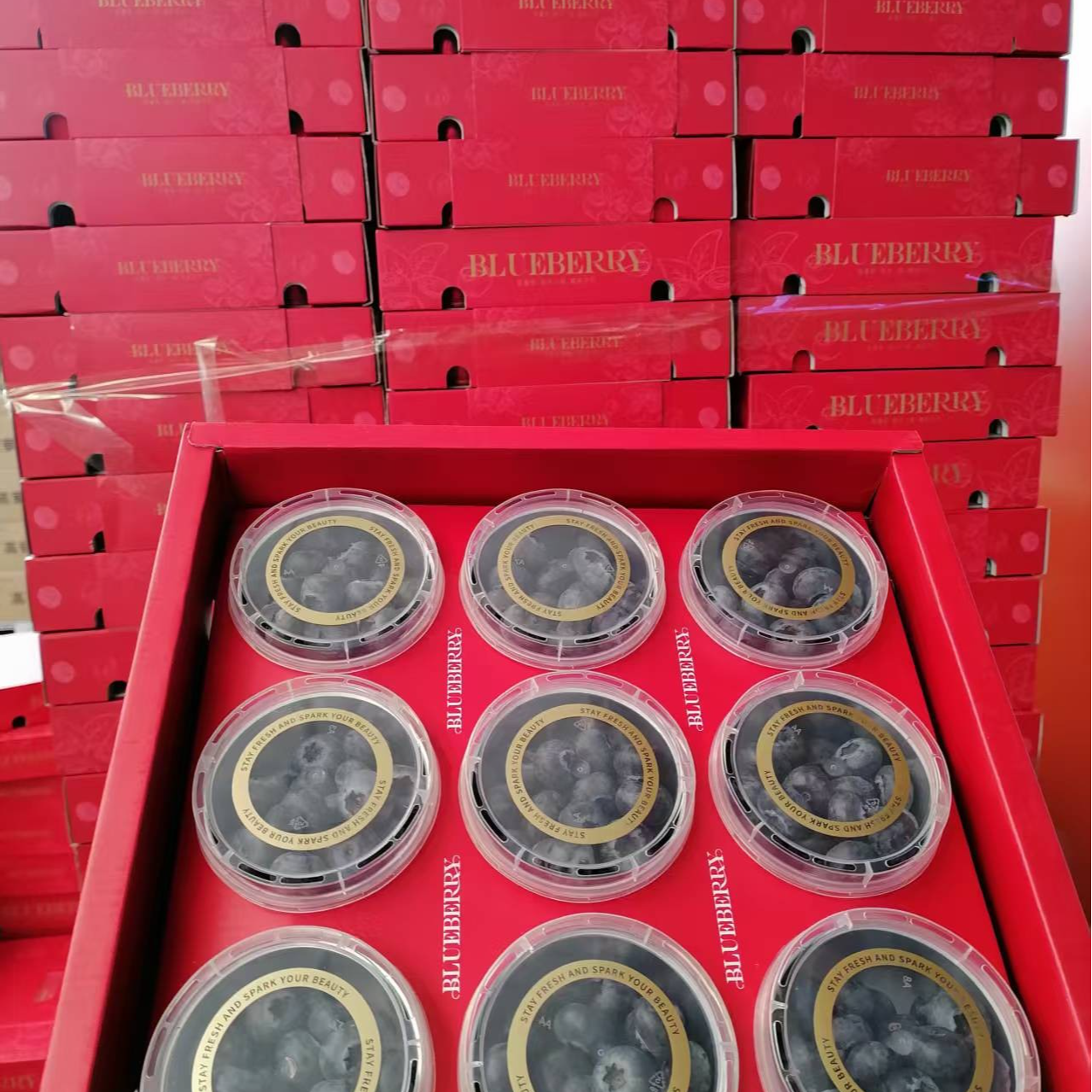 云南蓝莓L25礼盒一箱-18mm云南省