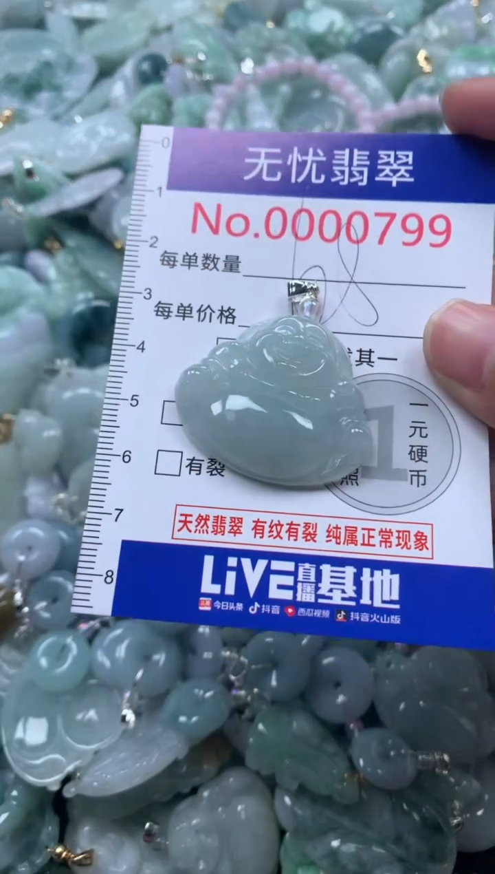 颈饰未镶嵌翡翠799