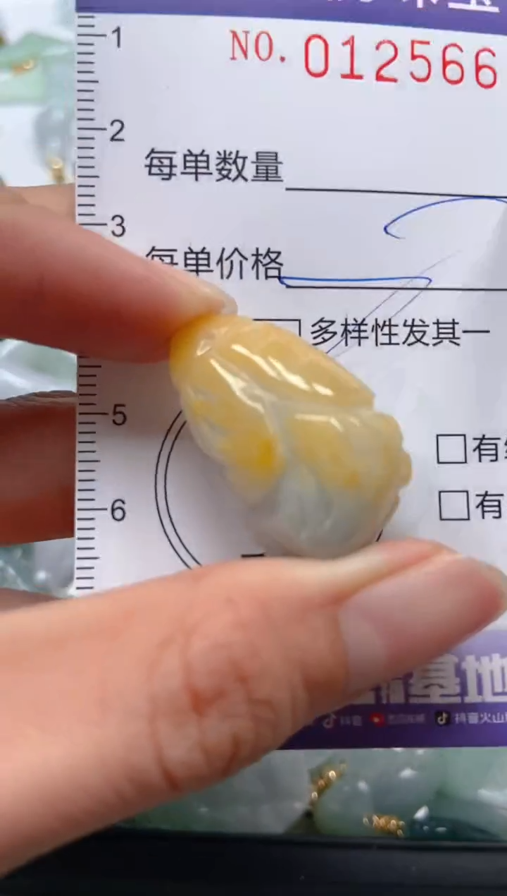 【闪购商品】翡翠颈饰未镶嵌闪购0125668