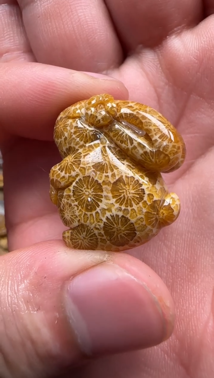 【闪购商品】硅化珊瑚（珊瑚玉）颈饰未镶嵌096