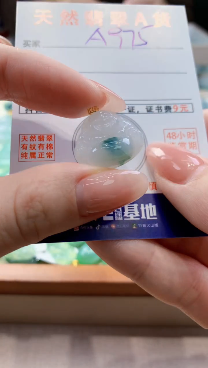 颈饰未镶嵌翡翠天然A货翡翠挂件