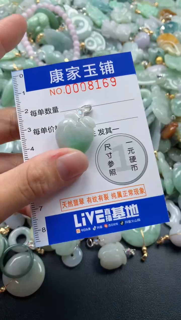 颈饰未镶嵌翡翠8169