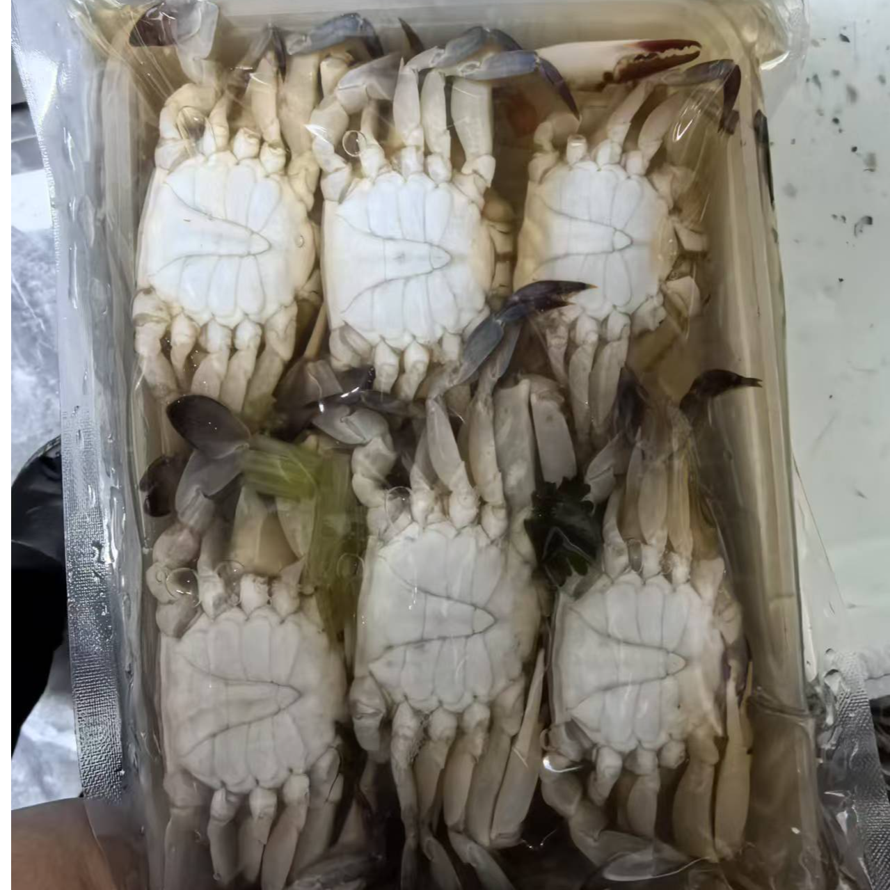 渤海湾一卤鲜3盒1500克