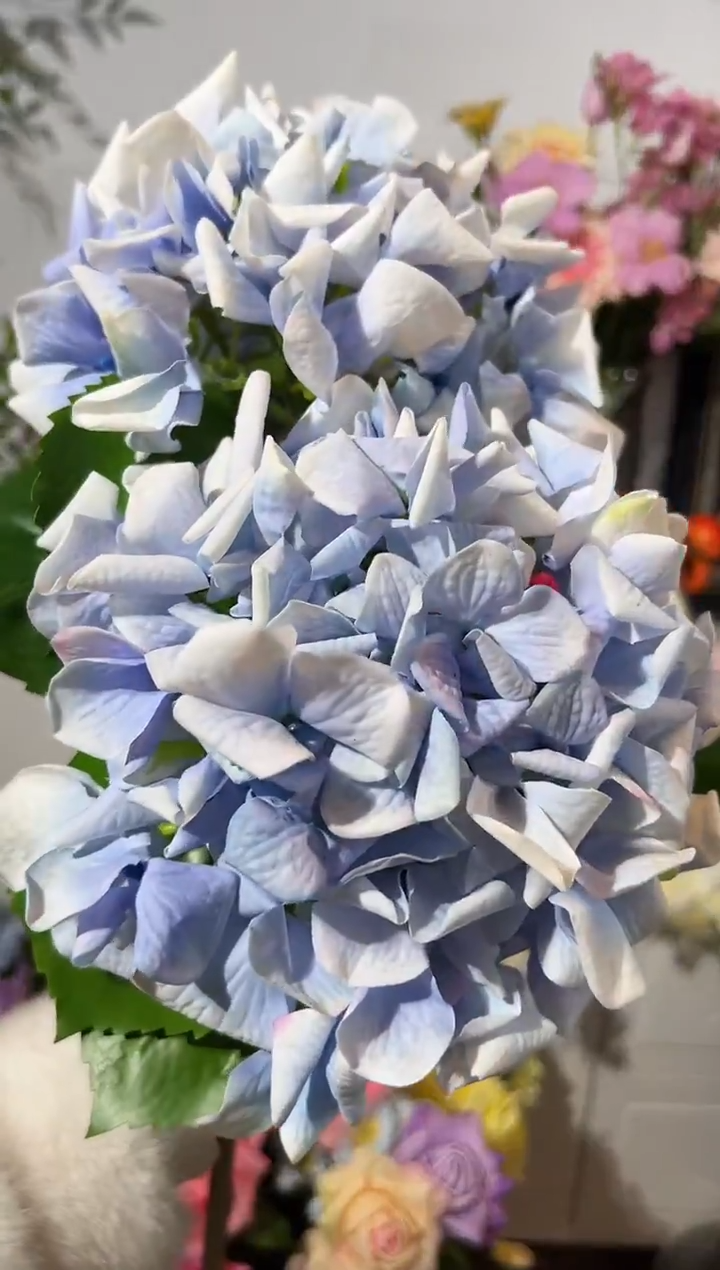 2枝蓝色手感保湿绣球