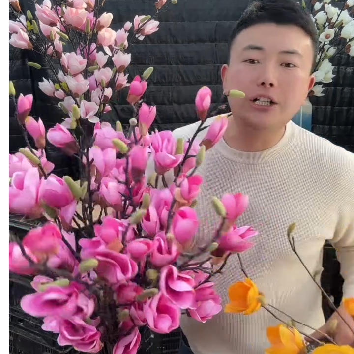 落地款玉兰花水培玉兰鲜切枝年宵花卉带花苞插花美观盆栽遇水救活