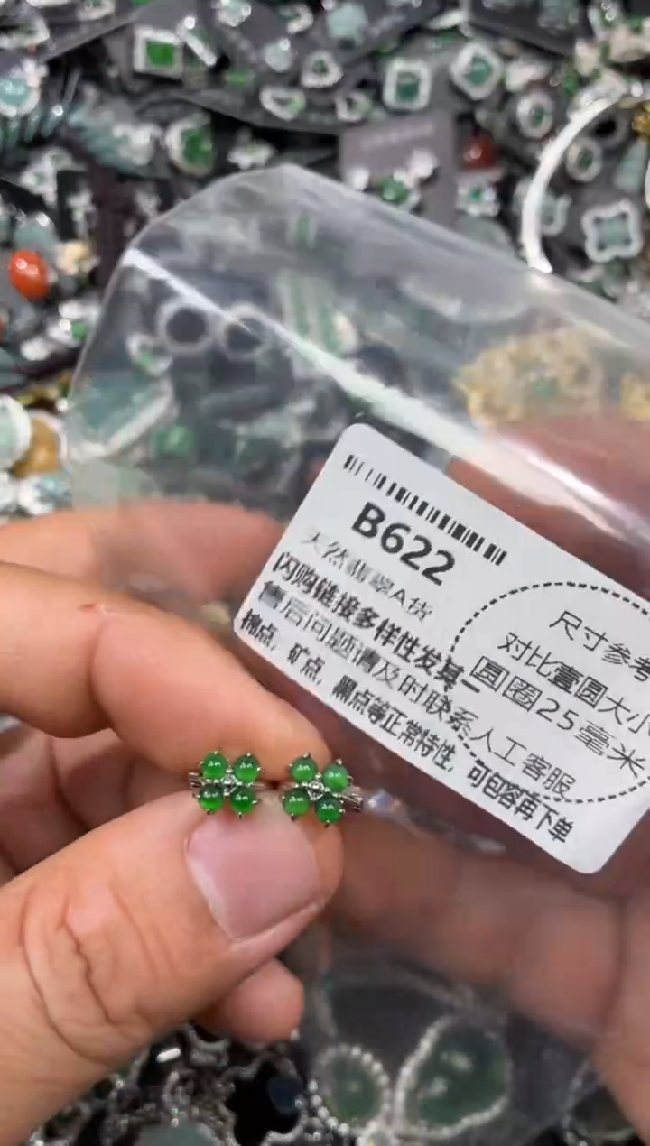 颈饰未镶嵌翡翠B622耳扣