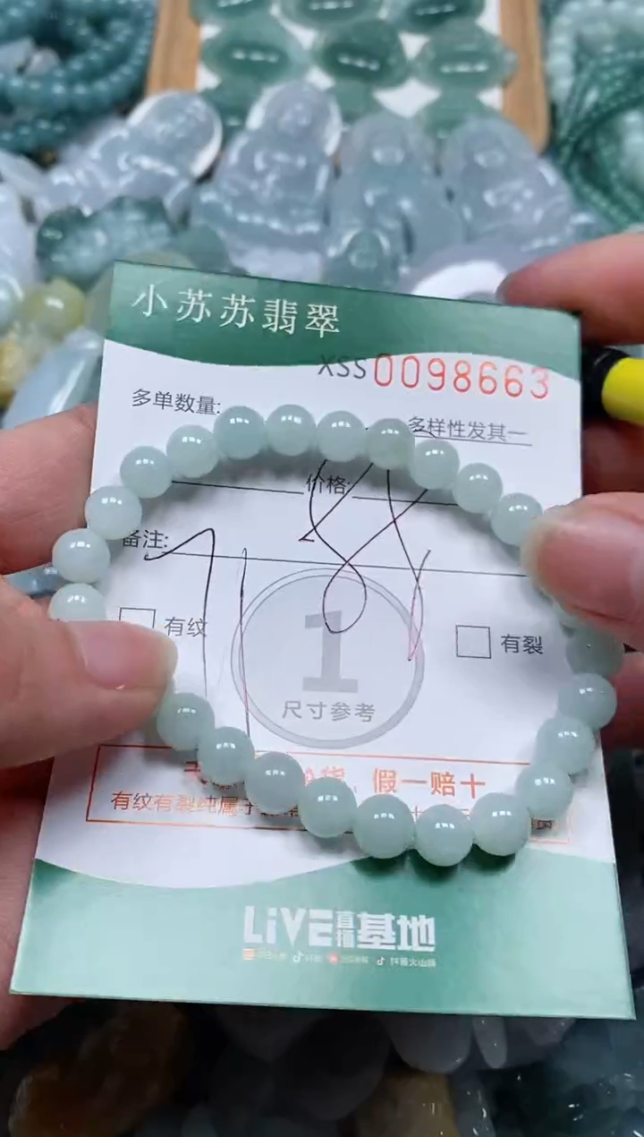 【闪购商品】翡翠颈饰未镶嵌闪购商品0098663