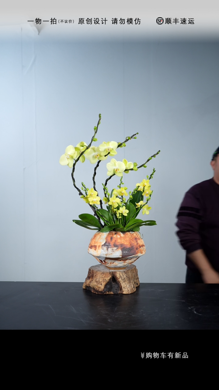 【闪购商品】035号链接【一物一拍】艺术盆景