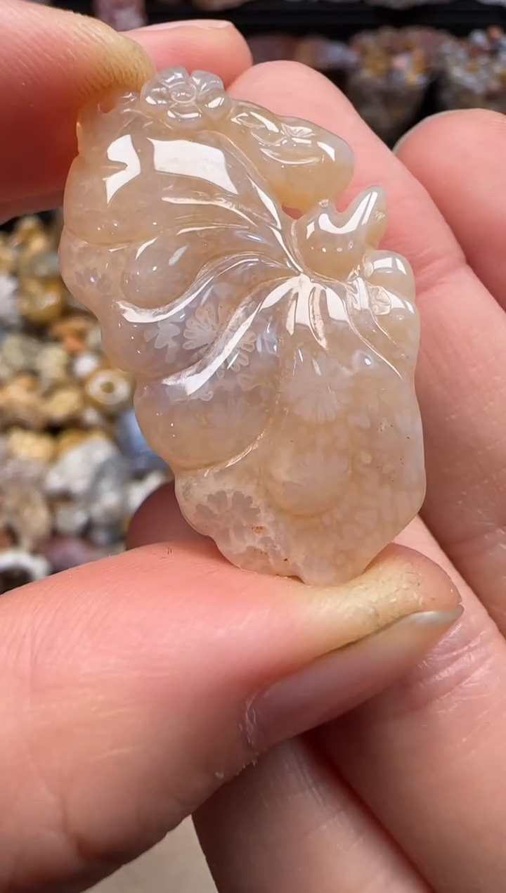 【闪购商品】硅化珊瑚（珊瑚玉）颈饰未镶嵌530