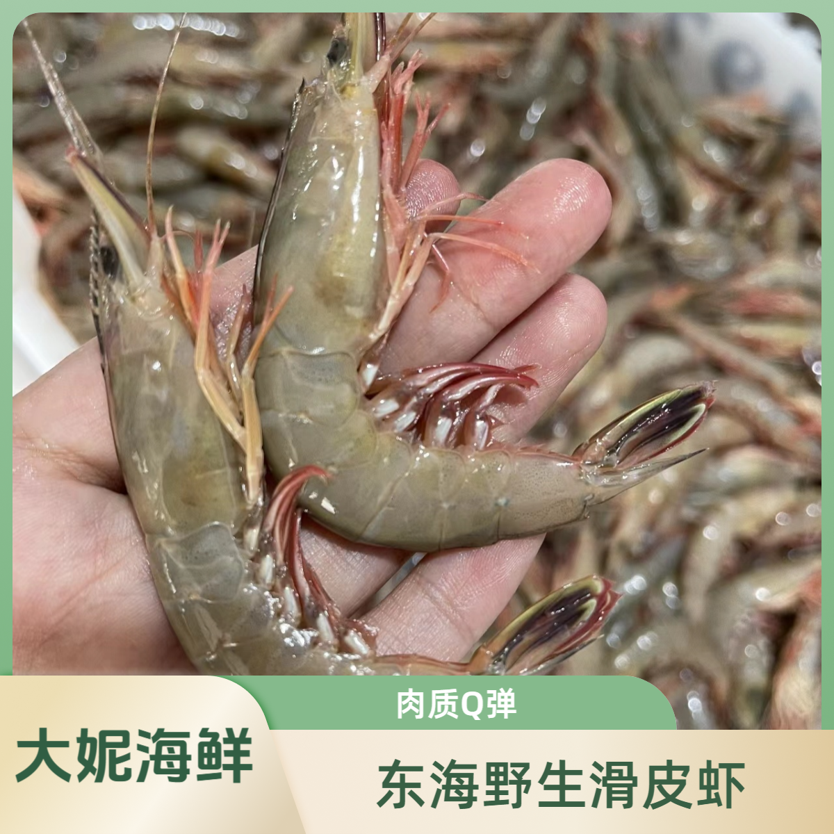 《大妮海鲜》东海特产野生海捕滑皮虾剑虾条虾（大号滑皮虾)