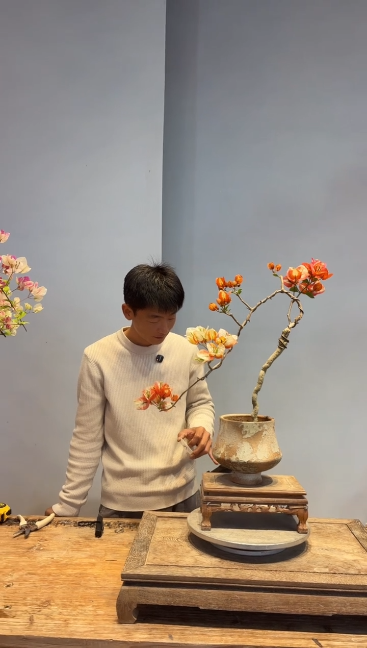 以实际为准L**i三角梅1