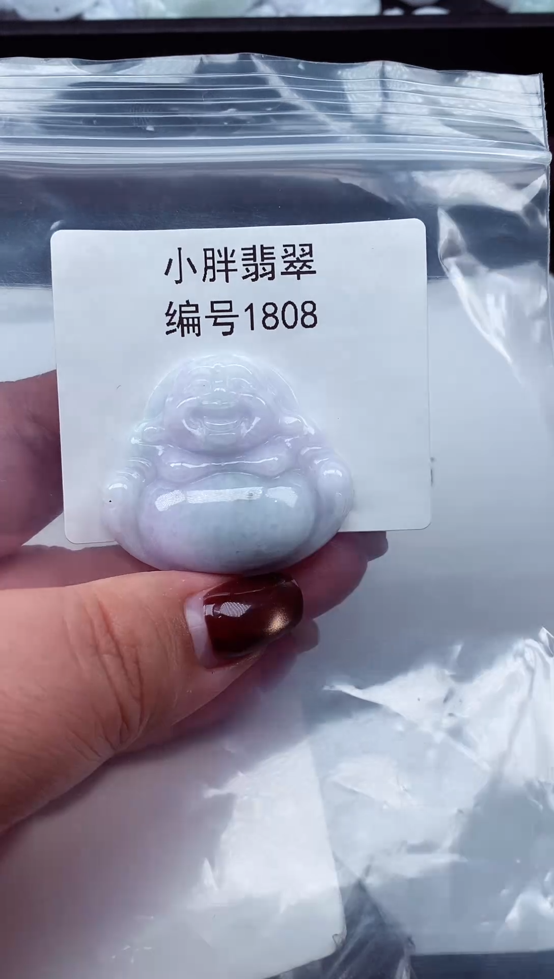 颈饰未镶嵌翡翠缅甸天然A货翡翠1808