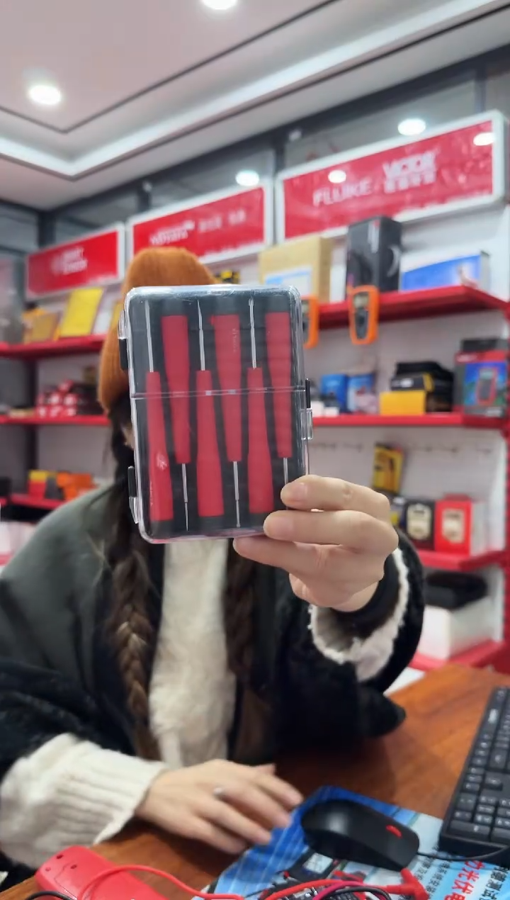 拓利亚SD061004（十）6件精密螺丝批组套 