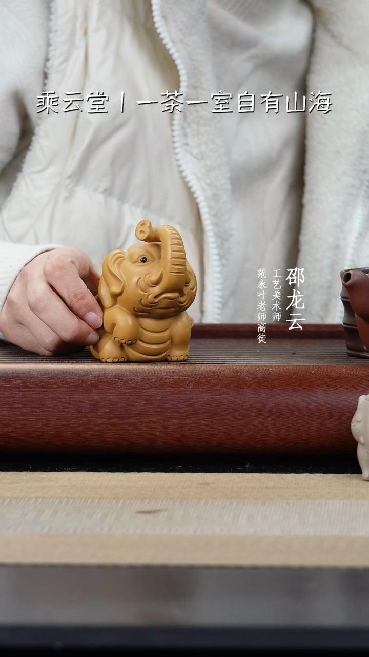 【闪购商品】紫砂茶壶大象茶宠55555555555555