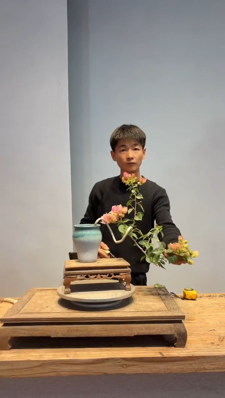 以实际为准三角梅44