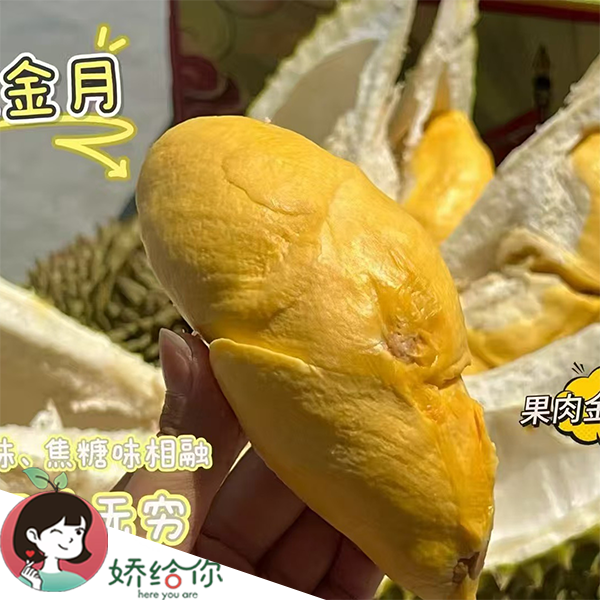 【顺丰包邮】泰国乘风破浪 软金月榴莲 焦糖风味圆核品种鲜果 1粒装