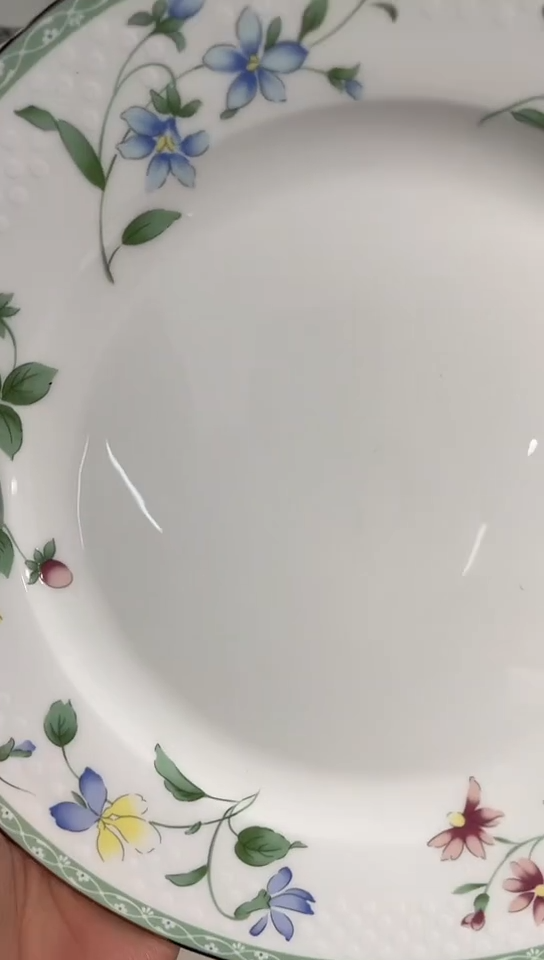 瓷10寸半隆达骨瓷