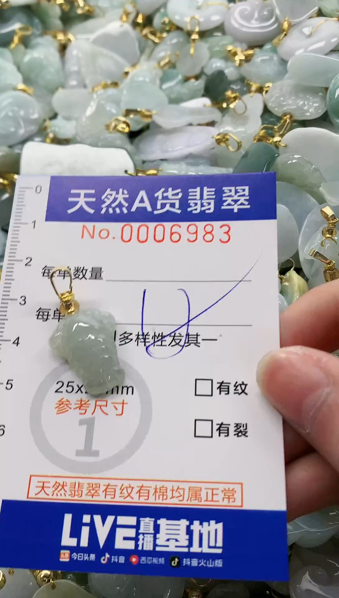 颈饰未镶嵌翡翠纯天然a货翡翠