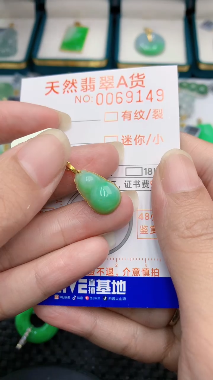 【闪购商品】翡翠颈饰18K金镶嵌            8