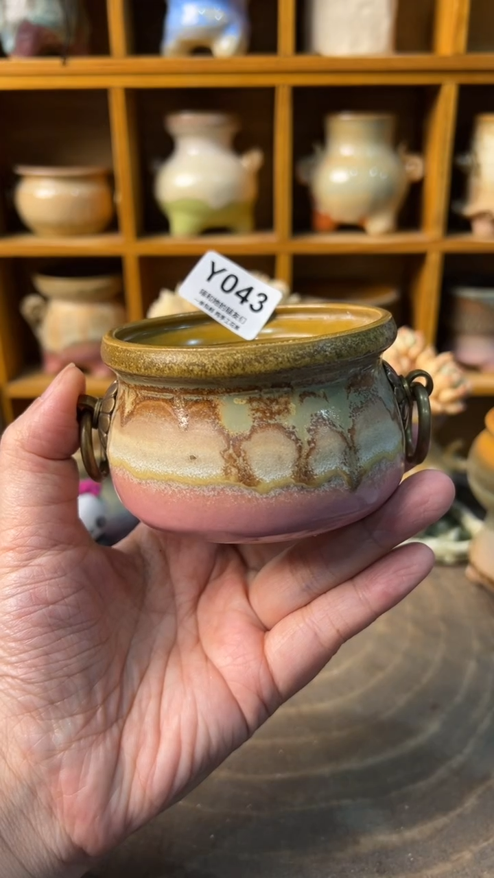 043 内口7【多肉花盆多肉盆】