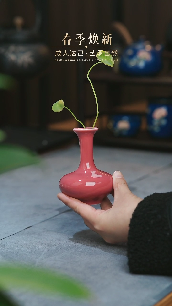 【闪购商品】【闪购商品】【闪购商品】