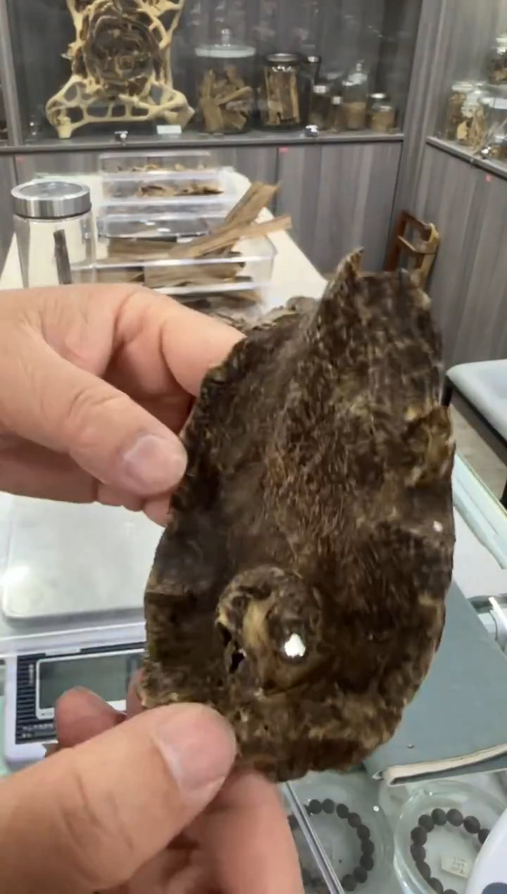 线香19-尖峰岭料20克