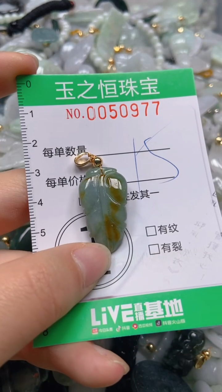 【闪购商品】翡翠颈饰未镶嵌闪购0050977