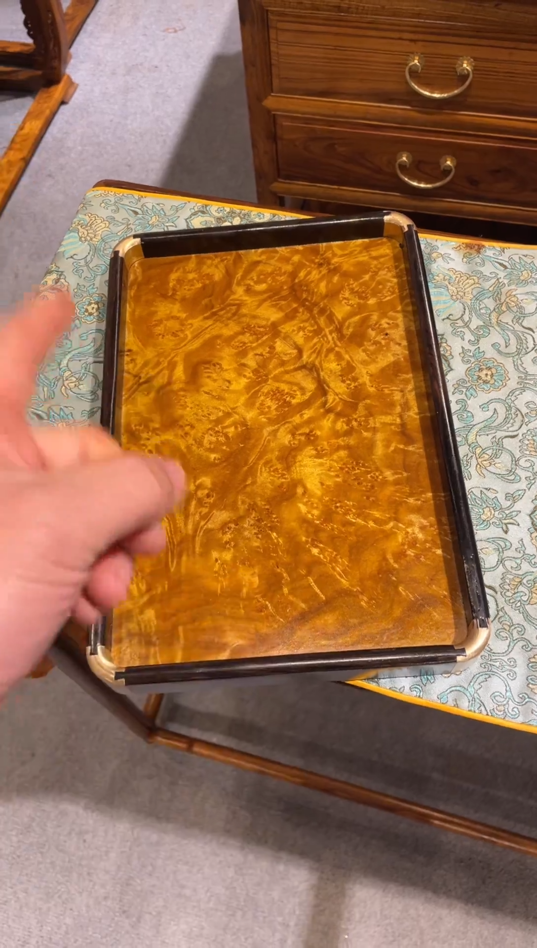 金丝楠6666666666666666