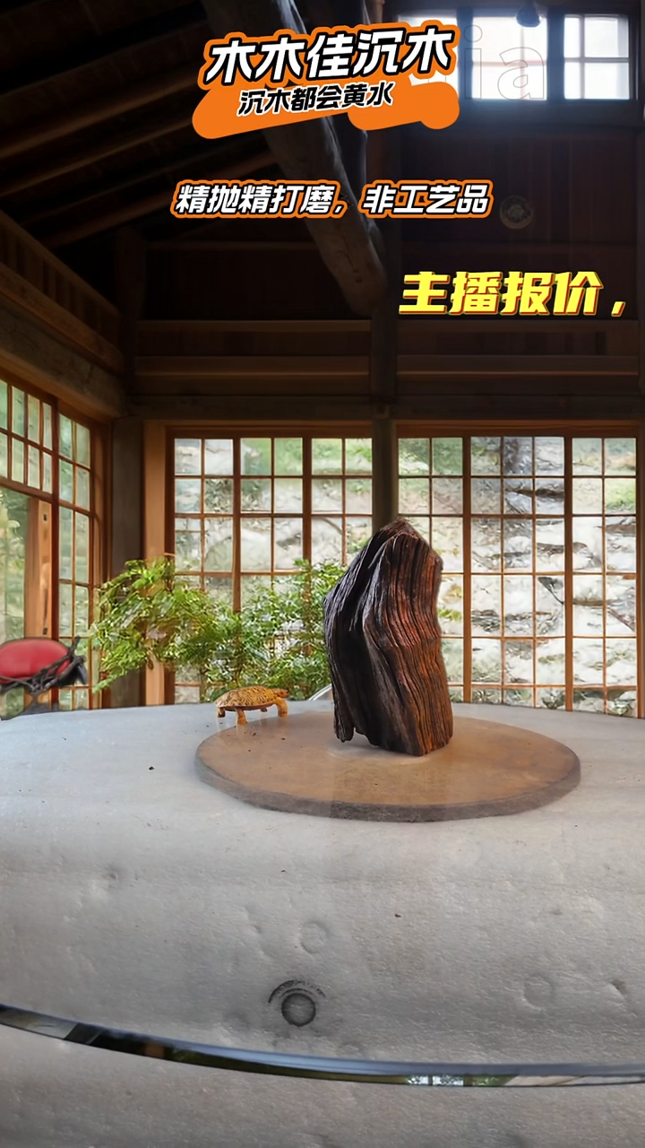 大*木木佳沉木鱼缸造景692