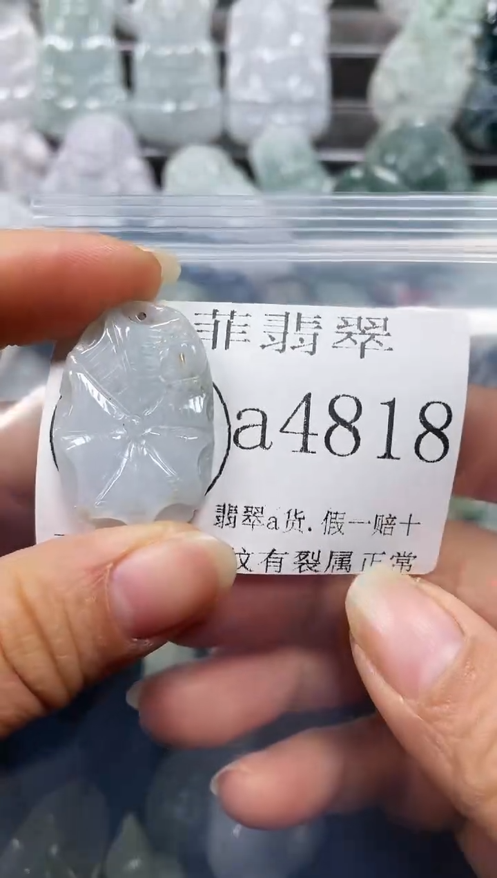 【闪购商品】翡翠颈饰未镶嵌闪购818