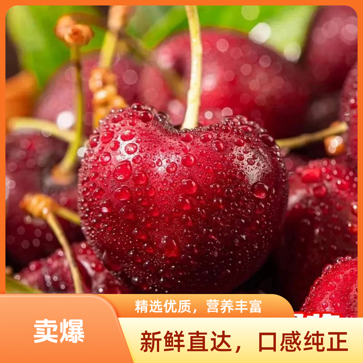 波板智利车厘子【桑提娜】海运新鲜车厘子J/2-5斤装