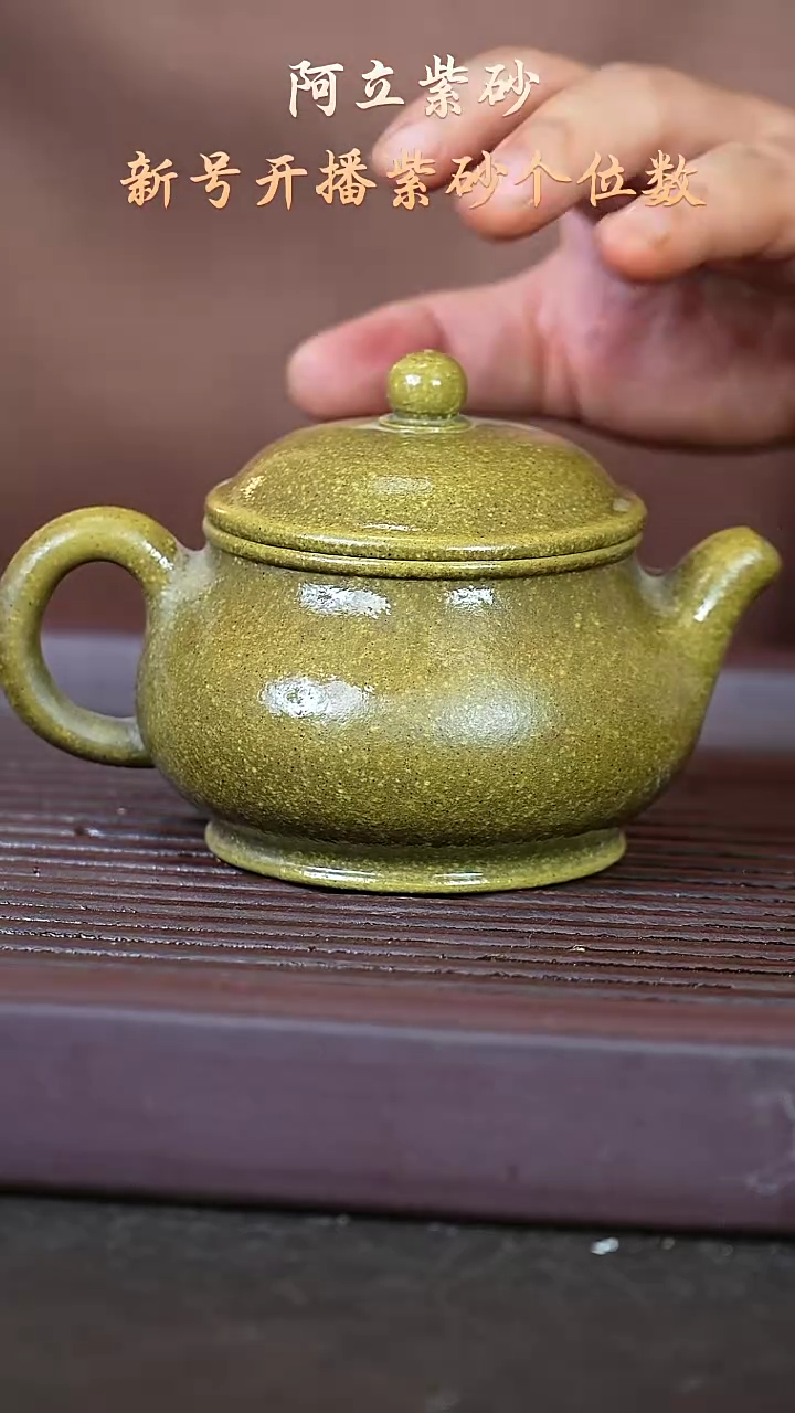 紫砂龙贝青@@ch04955