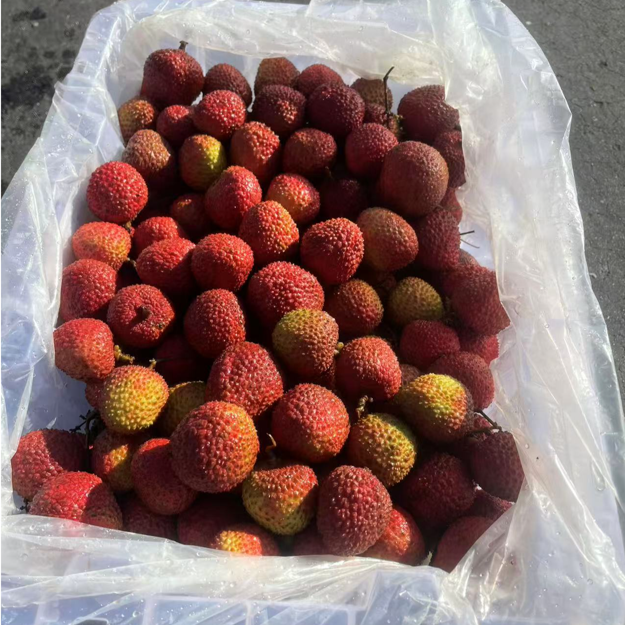 【精品】妃子笑荔枝 荔枝“贵妃笑”汇鑫精选妃子笑【小贵但好吃】3斤左右装新鲜