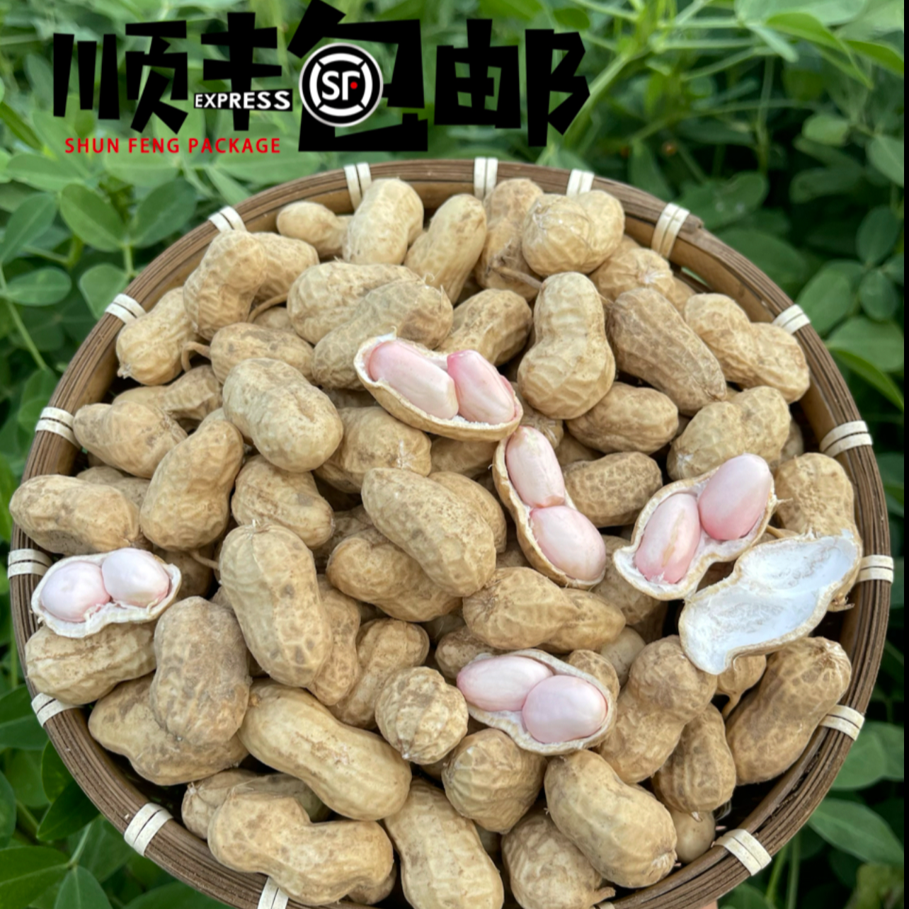 农家自种新鲜现挖带泥带壳湿花生粉红皮花生人工挑选粒粒饱满