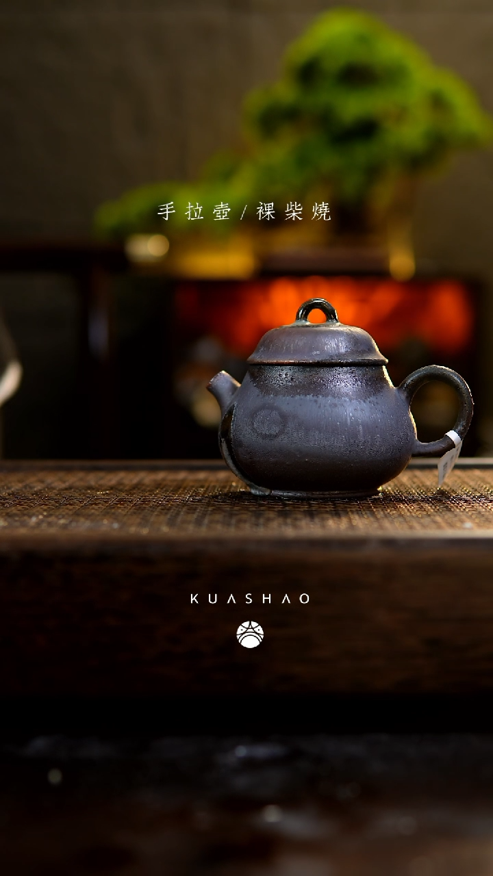 【闪购商品】元宝壶263           