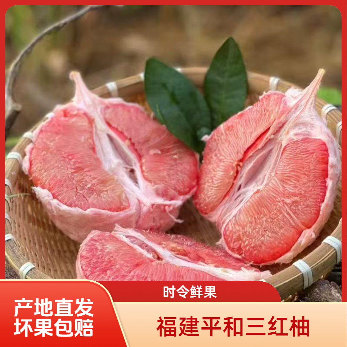 福建平和三红柚时令新鲜水果/老树琯溪蜜柚/颗粒饱满