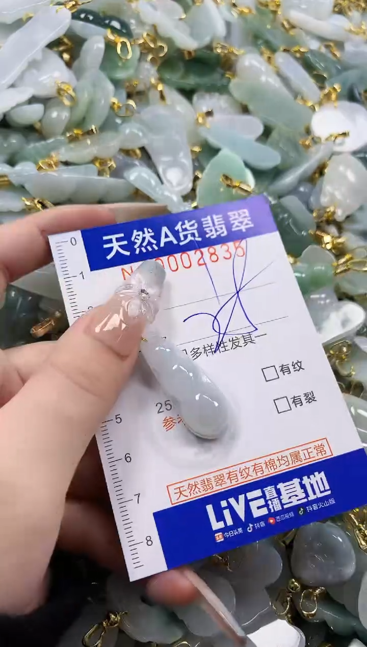 颈饰未镶嵌翡翠天然A货翡翠