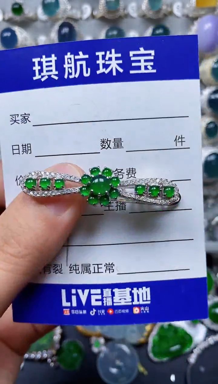 【闪购商品】翡翠颈饰银S925镶嵌0667