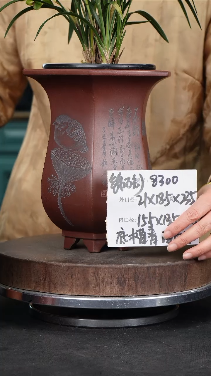 【闪购商品】紫砂花盆8300+s紫砂花盆