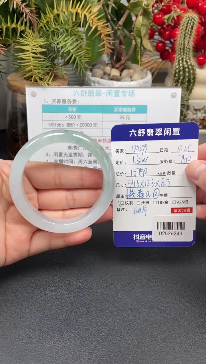 未镶嵌手镯翡翠1****9D2526243